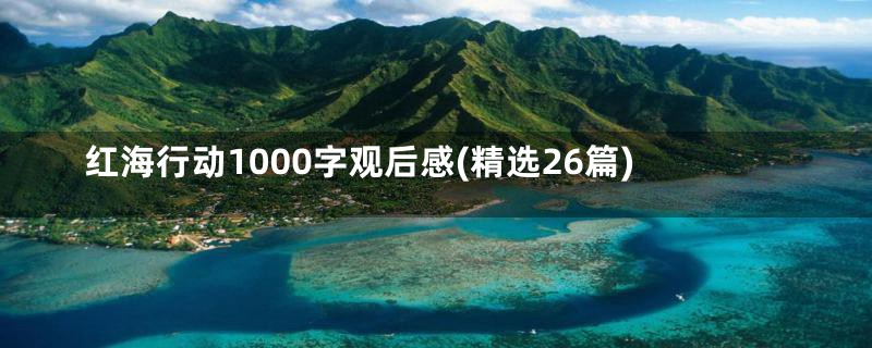 红海行动1000字观后感(精选26篇)