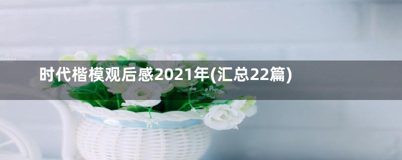 时代楷模观后感2021年(汇总22篇)