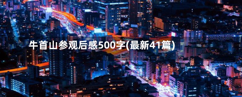 牛首山参观后感500字(最新41篇)