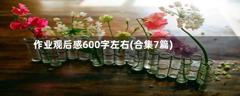 作业观后感600字左右(合集7篇)