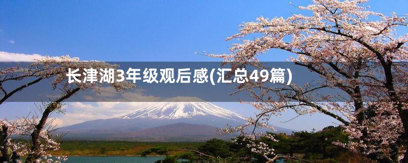 长津湖3年级观后感(汇总49篇)