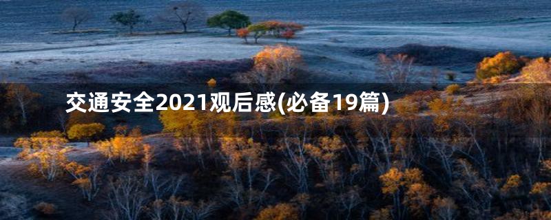 交通安全2021观后感(必备19篇)