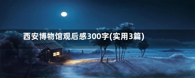 西安博物馆观后感300字(实用3篇)