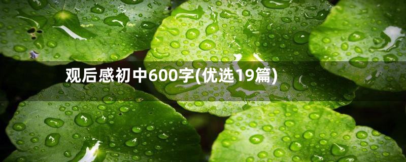 观后感初中600字(优选19篇)