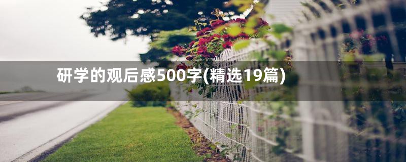 研学的观后感500字(精选19篇)