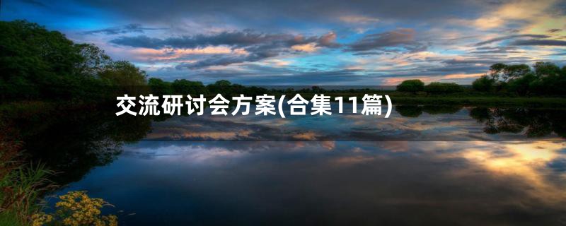 交流研讨会方案(合集11篇)