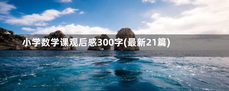 小学数学课观后感300字(最新21篇)