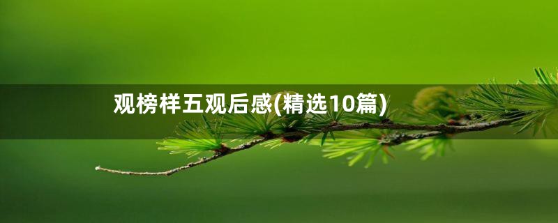 观榜样五观后感(精选10篇)