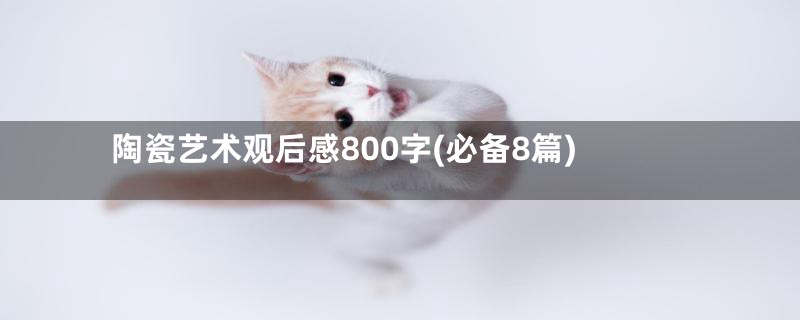 陶瓷艺术观后感800字(必备8篇)