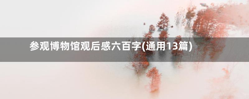 参观博物馆观后感六百字(通用13篇)