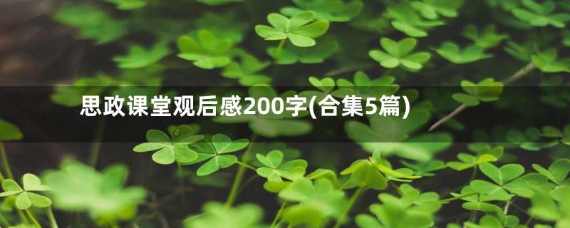 思政课堂观后感200字(合集5篇)