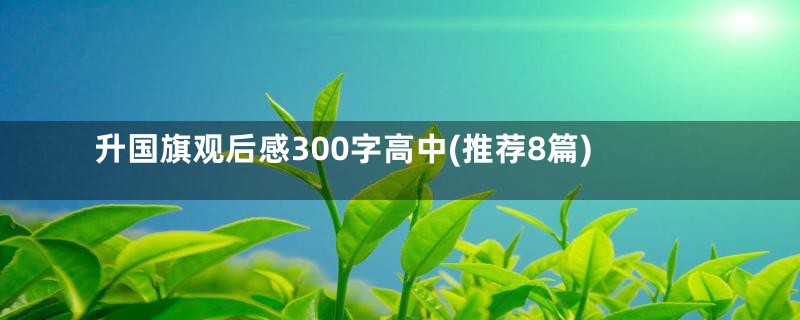 升国旗观后感300字高中(推荐8篇)