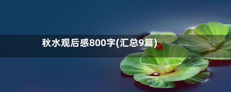 秋水观后感800字(汇总9篇)