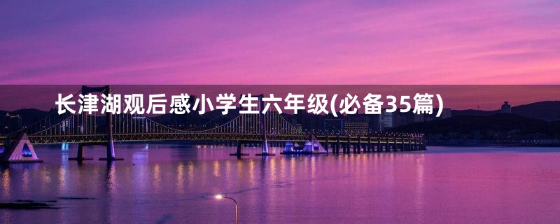 长津湖观后感小学生六年级(必备35篇)