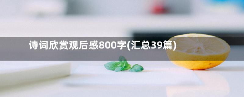 诗词欣赏观后感800字(汇总39篇)