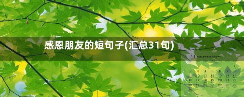 感恩朋友的短句子(汇总31句)