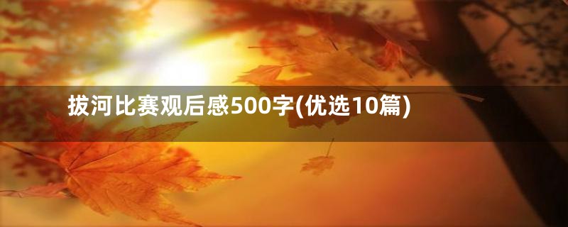 拔河比赛观后感500字(优选10篇)