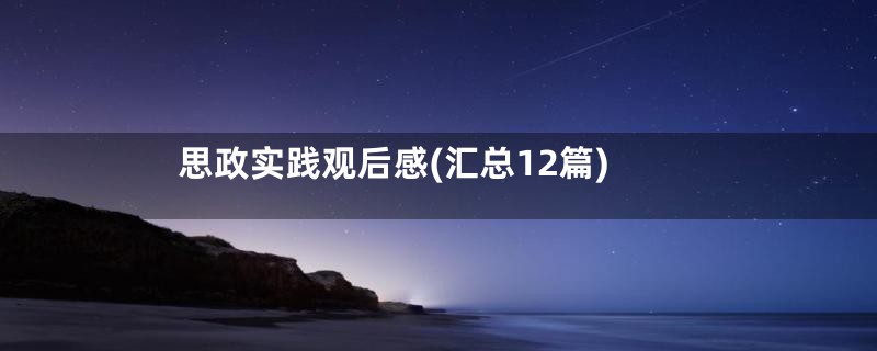 思政实践观后感(汇总12篇)