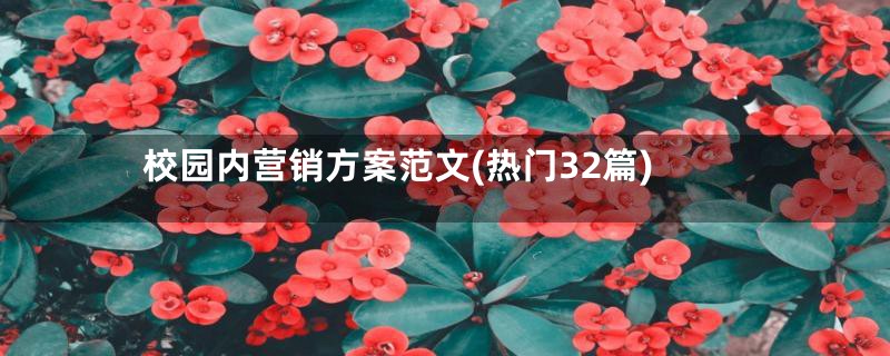 校园内营销方案范文(热门32篇)