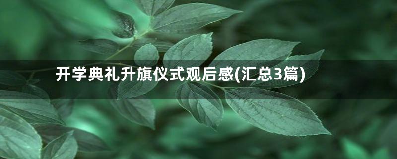 开学典礼升旗仪式观后感(汇总3篇)