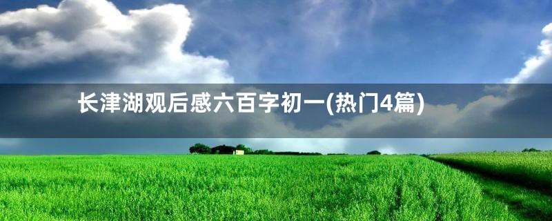 长津湖观后感六百字初一(热门4篇)