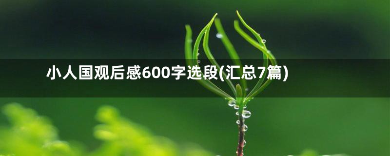 小人国观后感600字选段(汇总7篇)