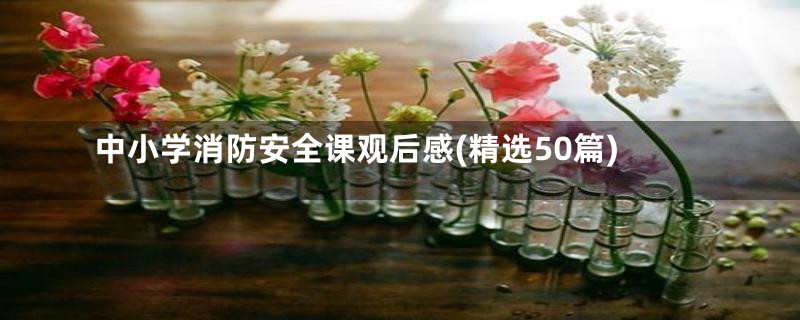 中小学消防安全课观后感(精选50篇)