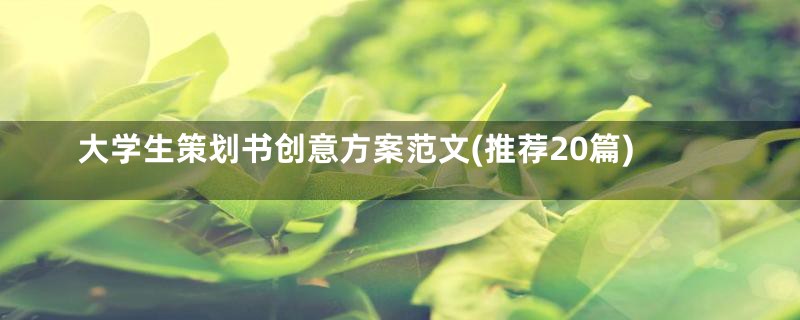 大学生策划书创意方案范文(推荐20篇)