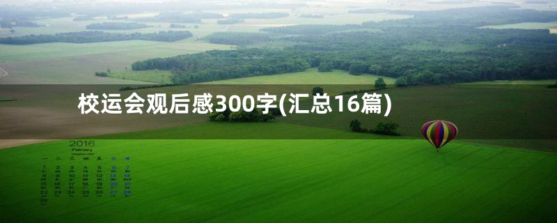 校运会观后感300字(汇总16篇)