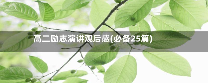 高二励志演讲观后感(必备25篇)