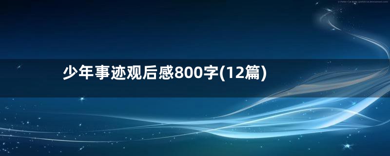 少年事迹观后感800字(12篇)