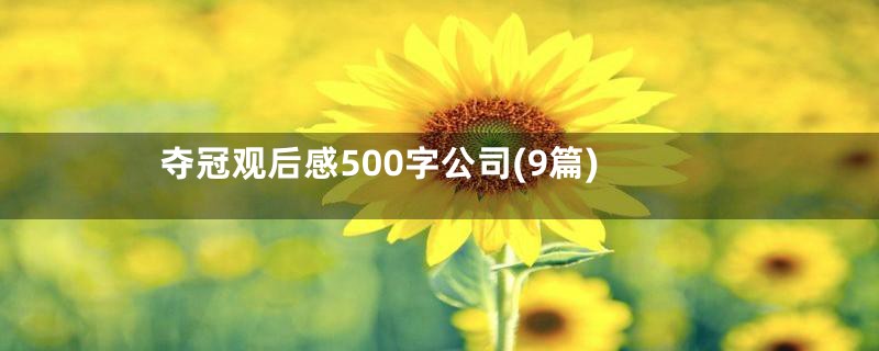 夺冠观后感500字公司(9篇)