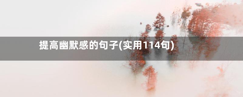 提高幽默感的句子(实用114句)